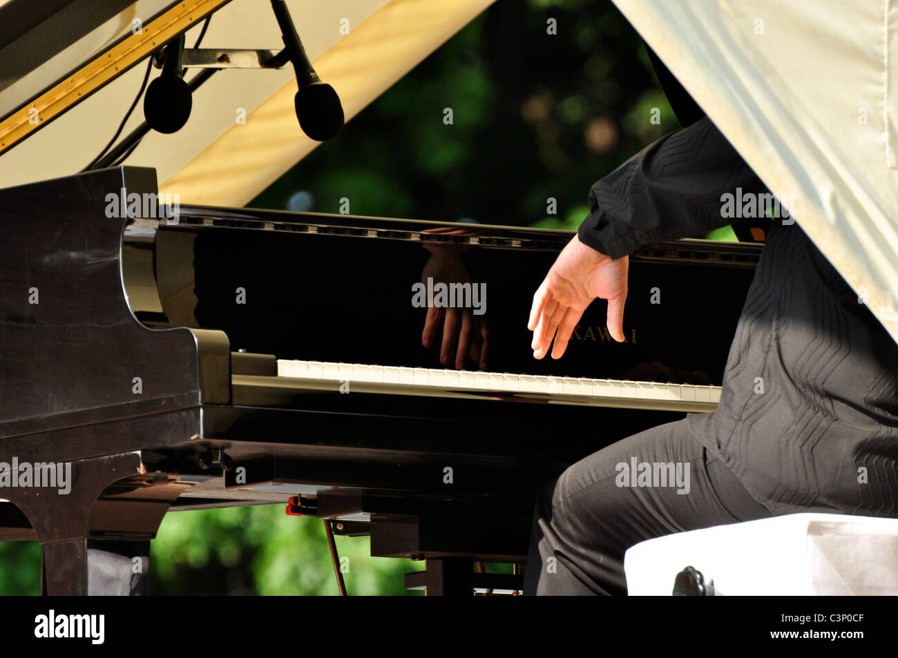 Pianist's hand Stock Photo