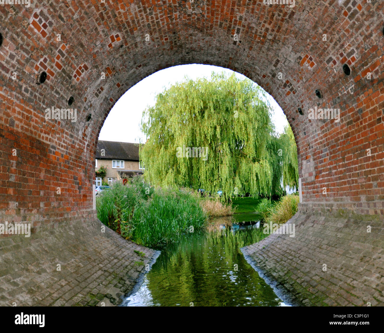 Willow tunnel hi-res stock photography and images - Alamy