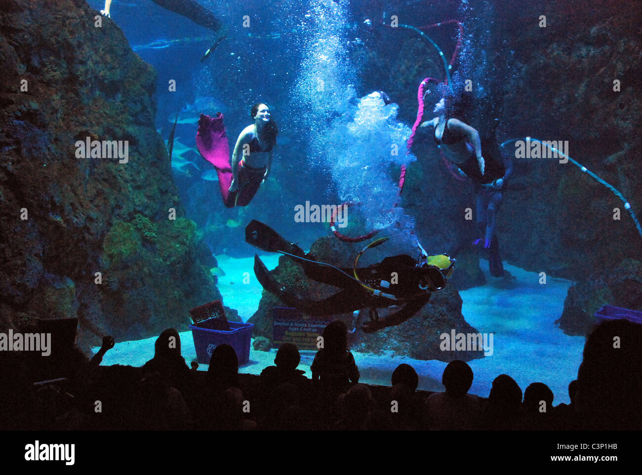 US Navy divers take part in a diving show at the Denver Aquarium during Navy Week. Stock Photo