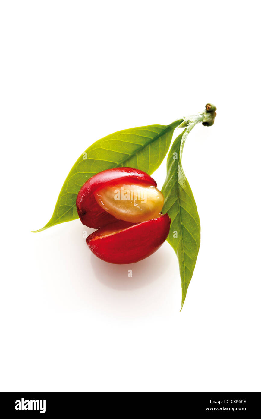 Coffee bean with leaves, elevated view Stock Photo Alamy