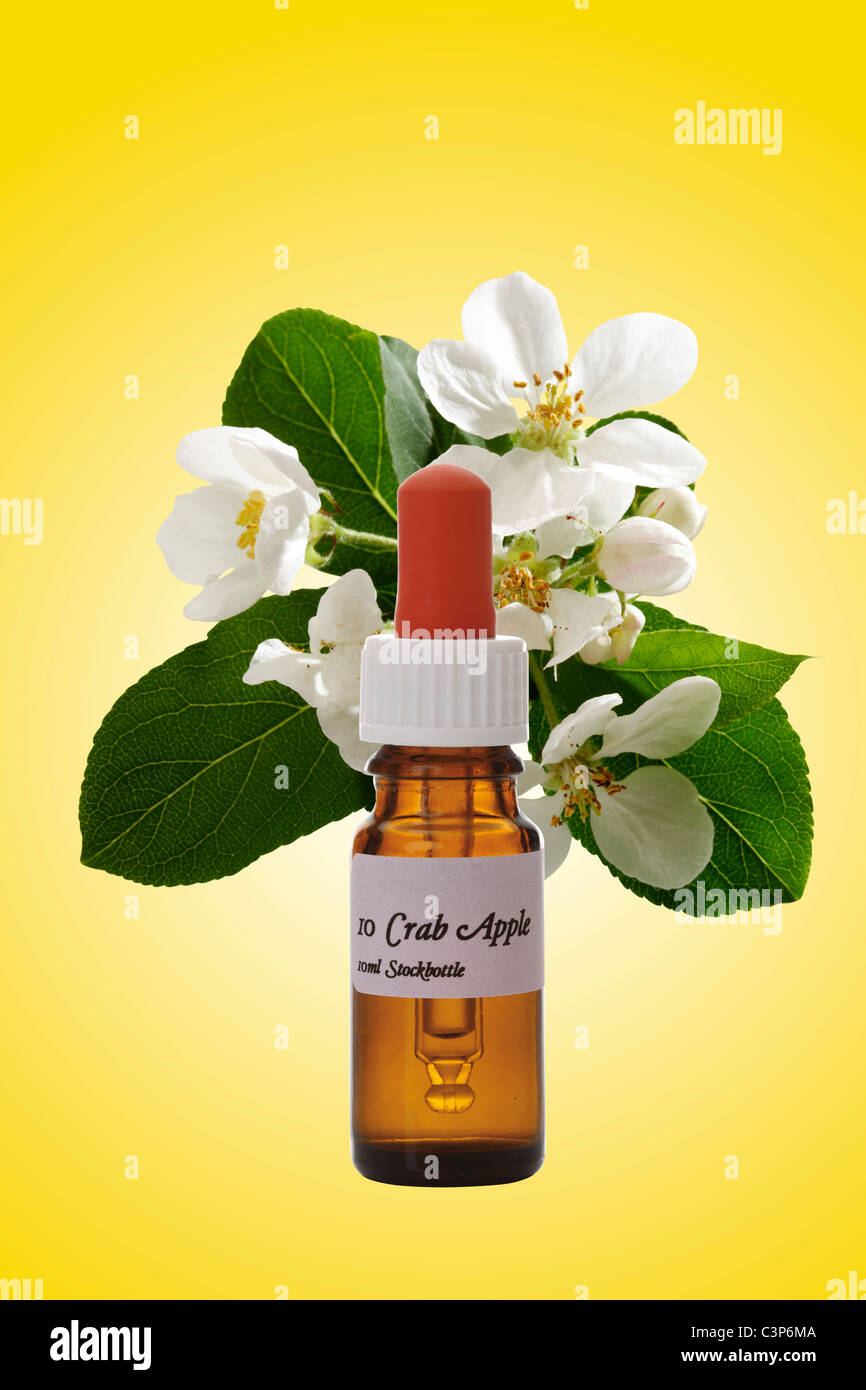 Bottle with Bach Flower Stock Remedy, Crab apple (Malus pumila Stock