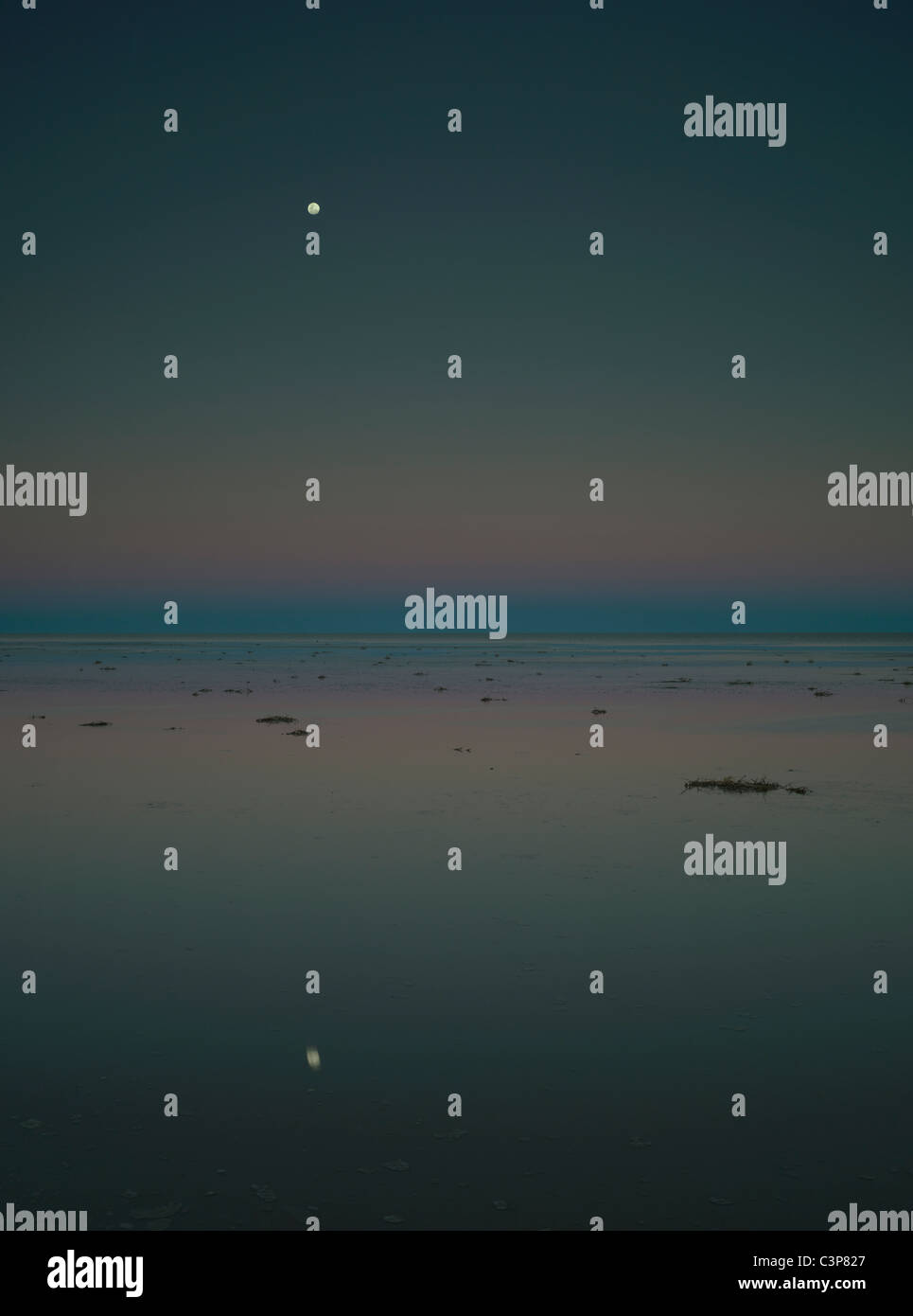 Moon and Earth Shadow, evening twilight at the waters edge. Lake Eyre