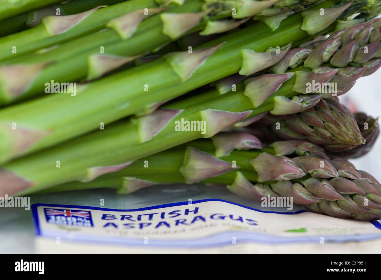 Asparagus officinalis British Asparagus on White Stock Photo Alamy