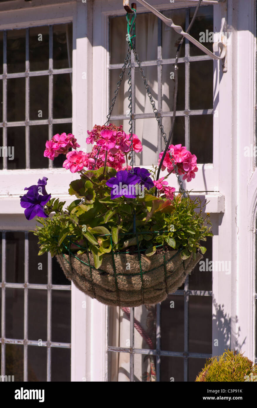 A Hanging Basket Stock Photo