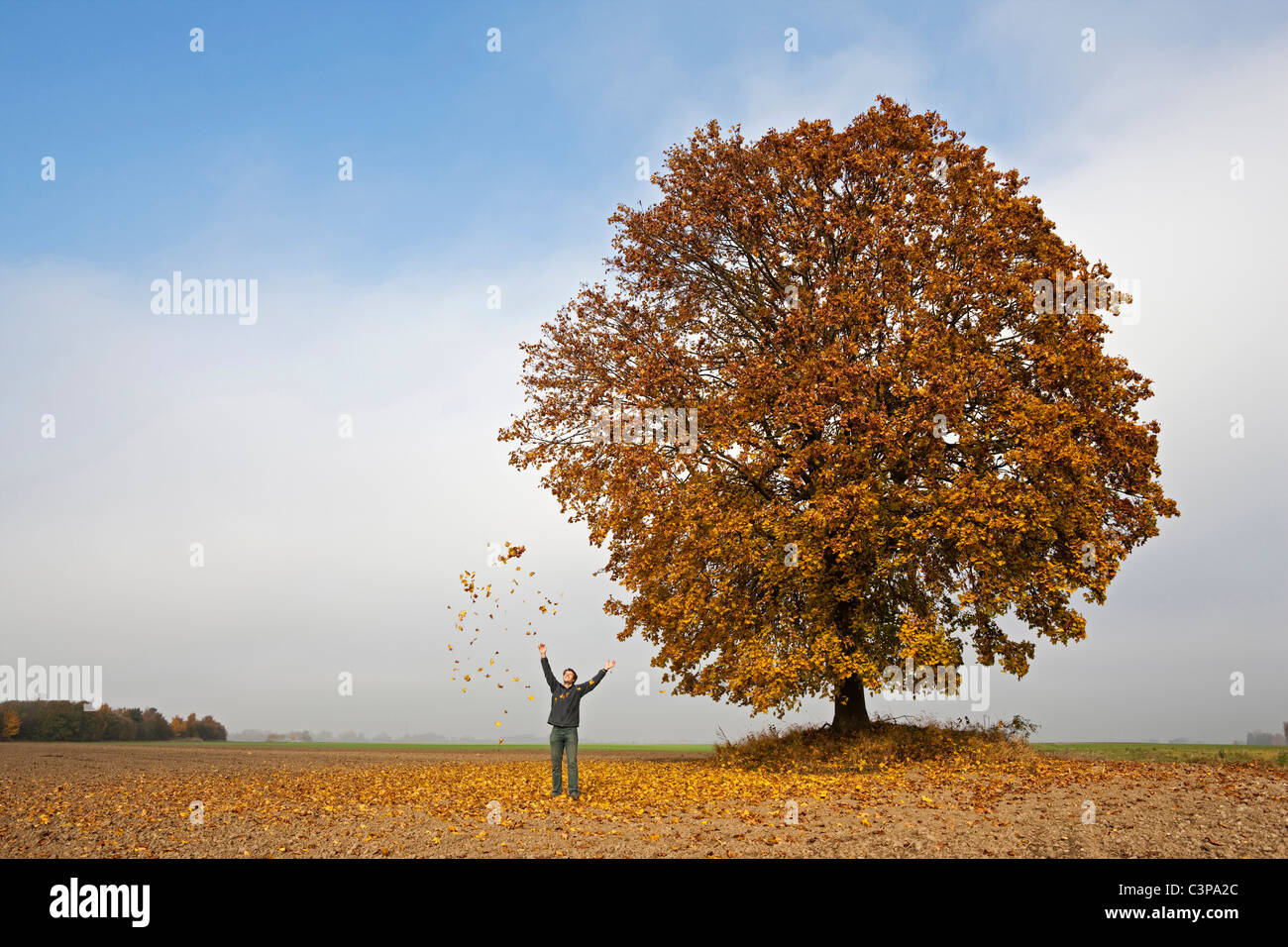 Germany, Bavaria, Man throwing leaves into air Stock Photo