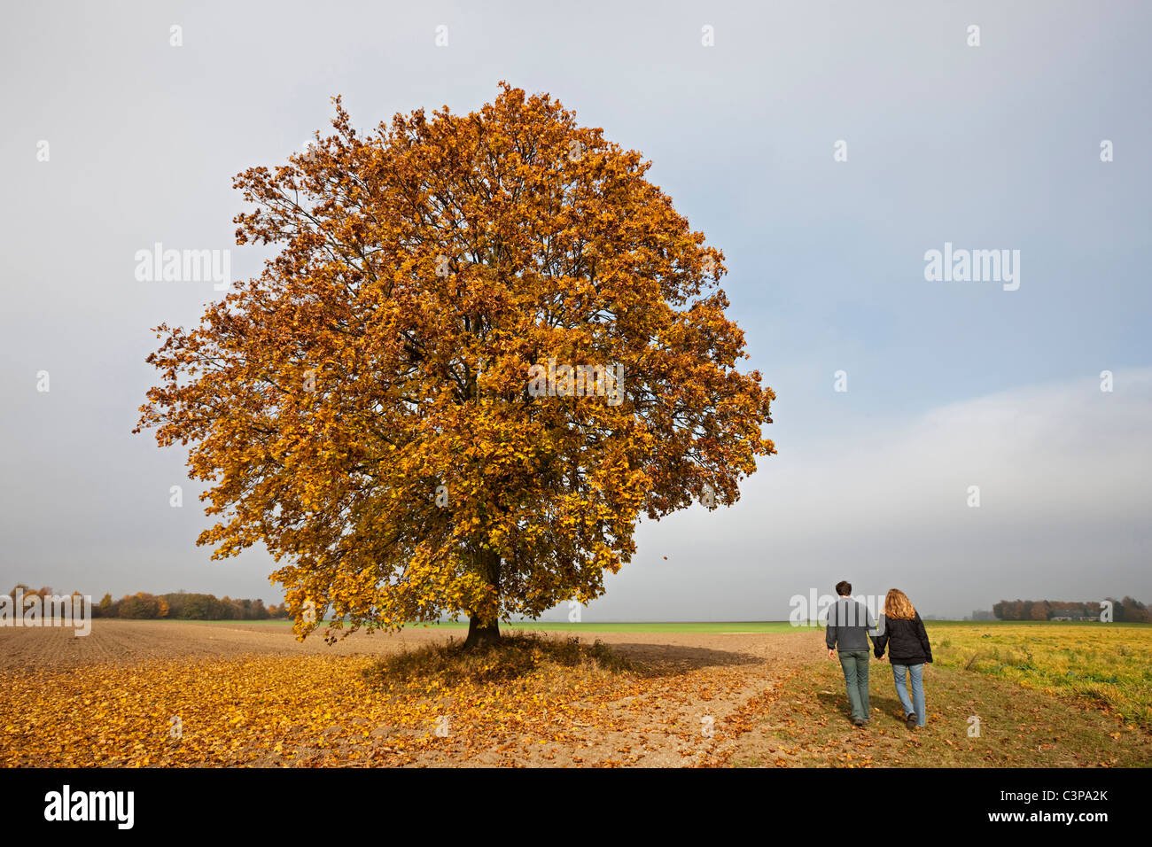 Germany, Bavaria, Couple walking hand in hand, rear view Stock Photo