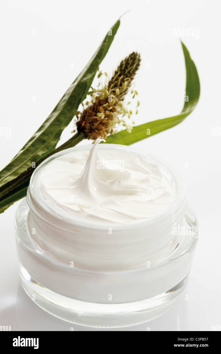 Ribwort plantain cream with salve on white background Stock Photo