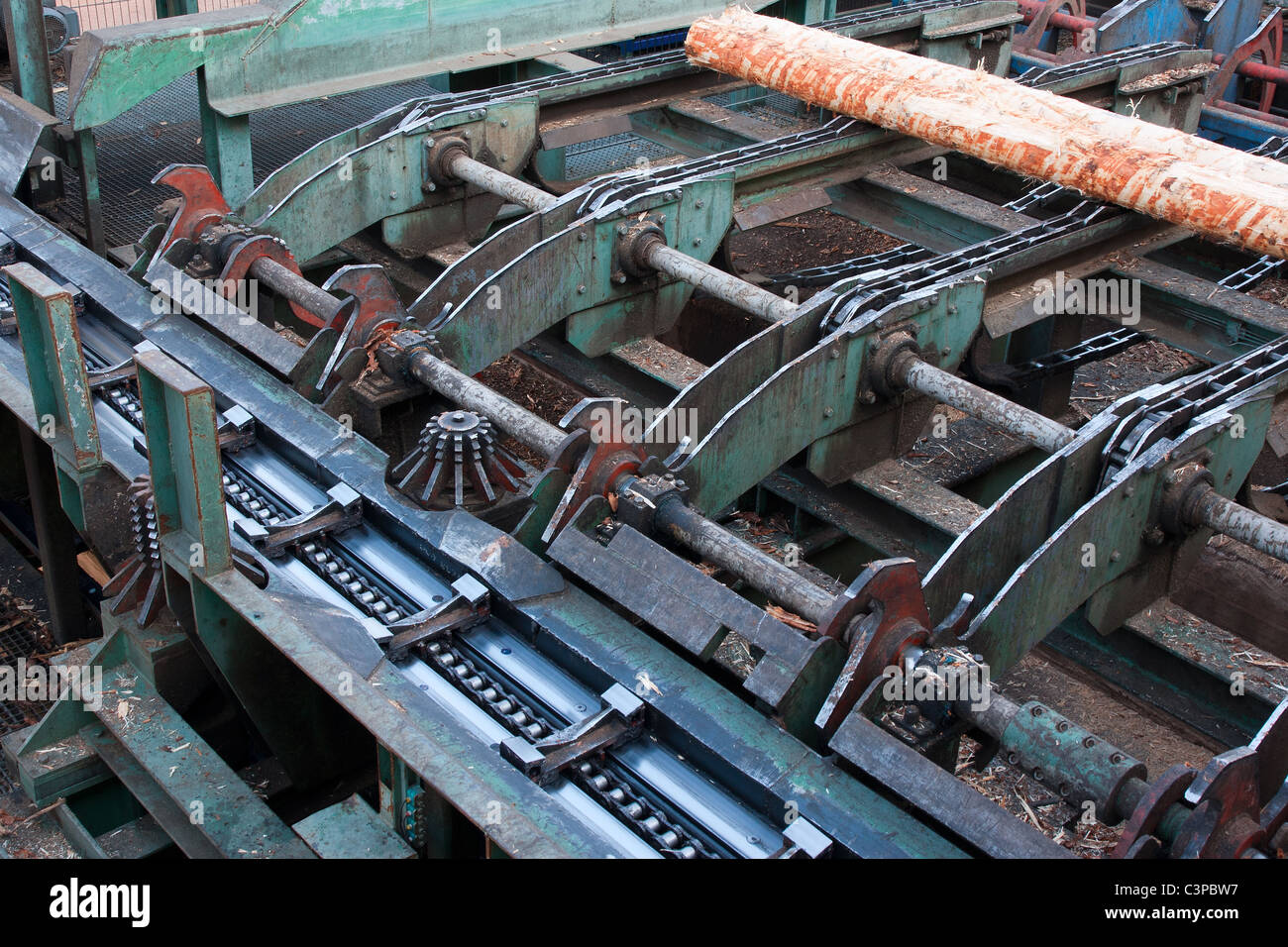 Lumber industry cutting line in saw mill Stock Photo Alamy