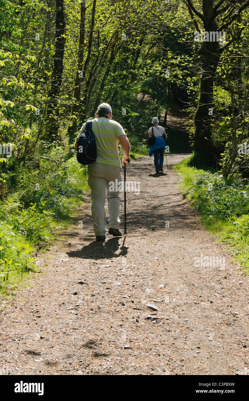 Elderly man and woman walking up a hill path in a forest Stock Photo
