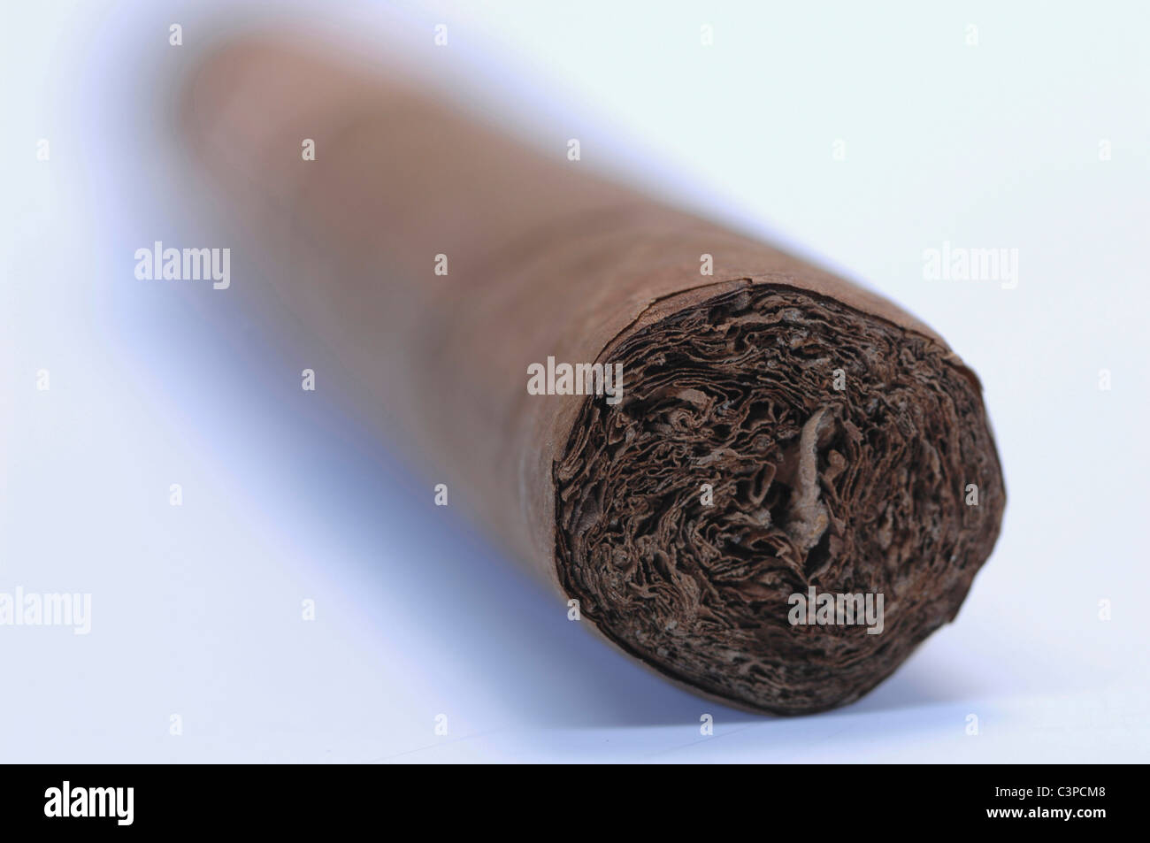 Close-up of a cigar. Stock Photo