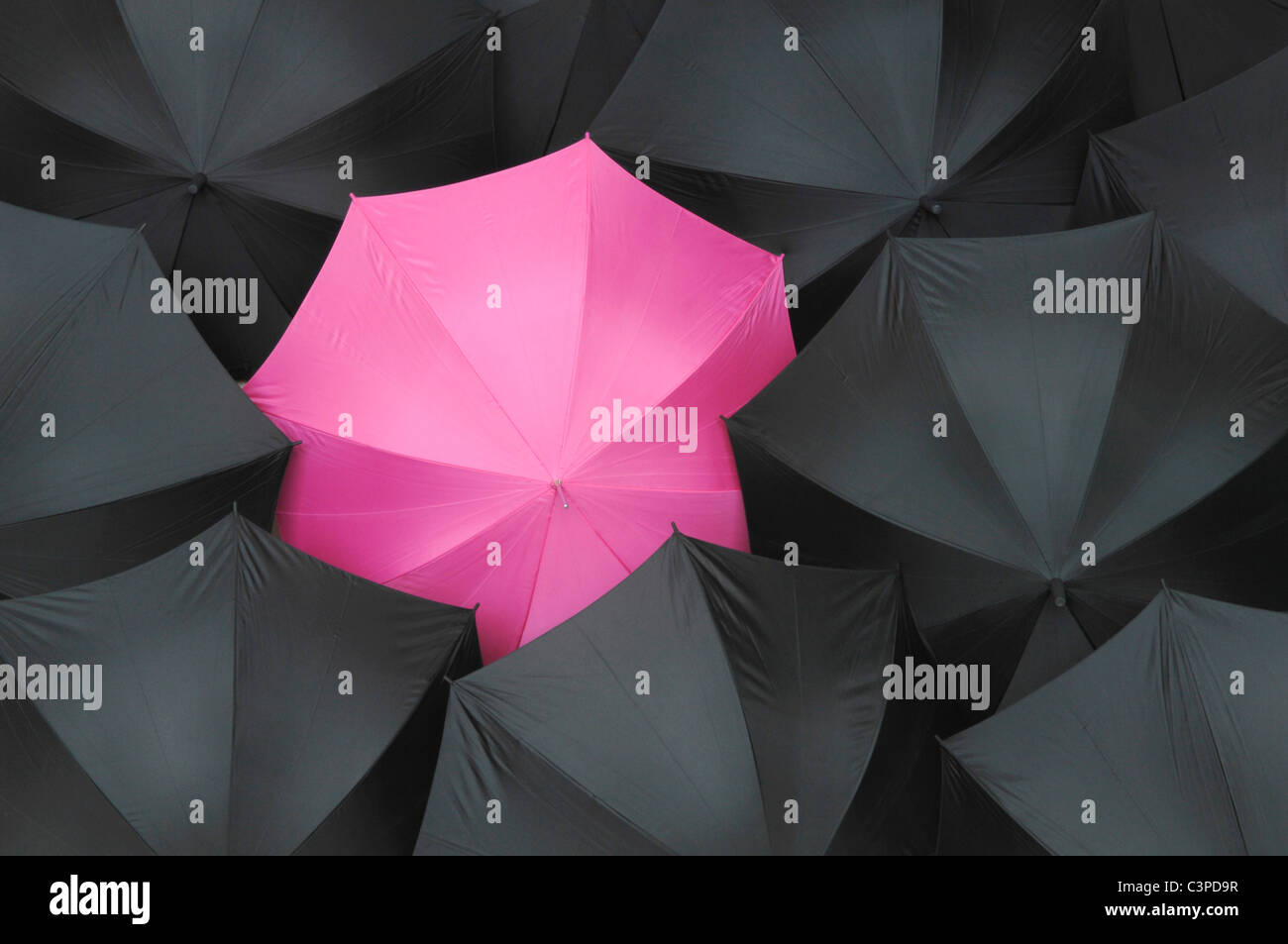 Open black umbrellas with one pink umbrella, close up Stock Photo Alamy