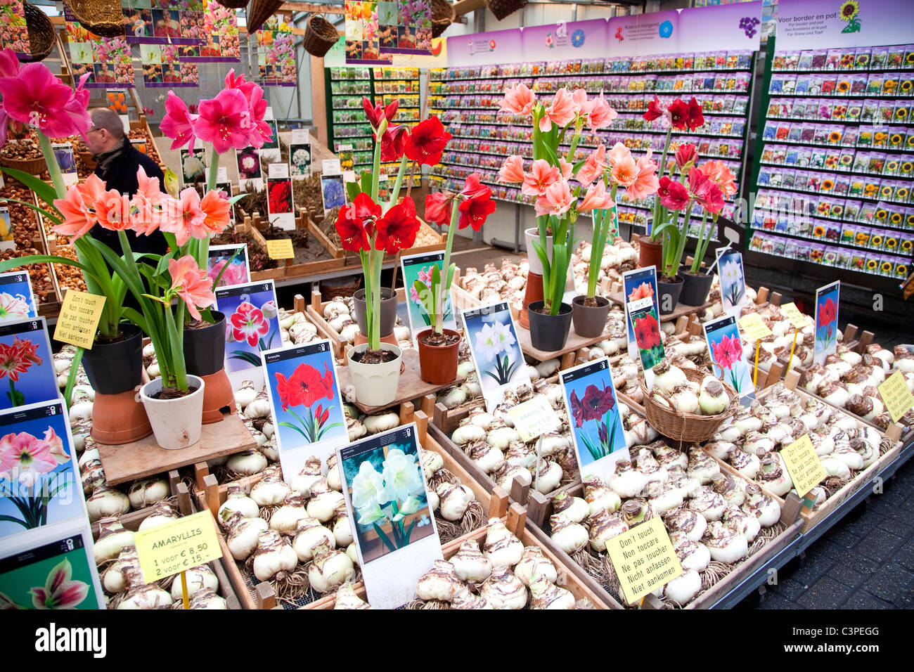 flower market, amsterdam, holland Stock Photo Alamy