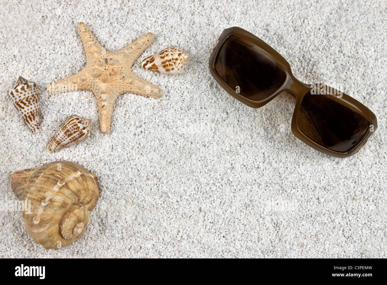 a seastar and several shells in white sand with sunglasses Stock Photo