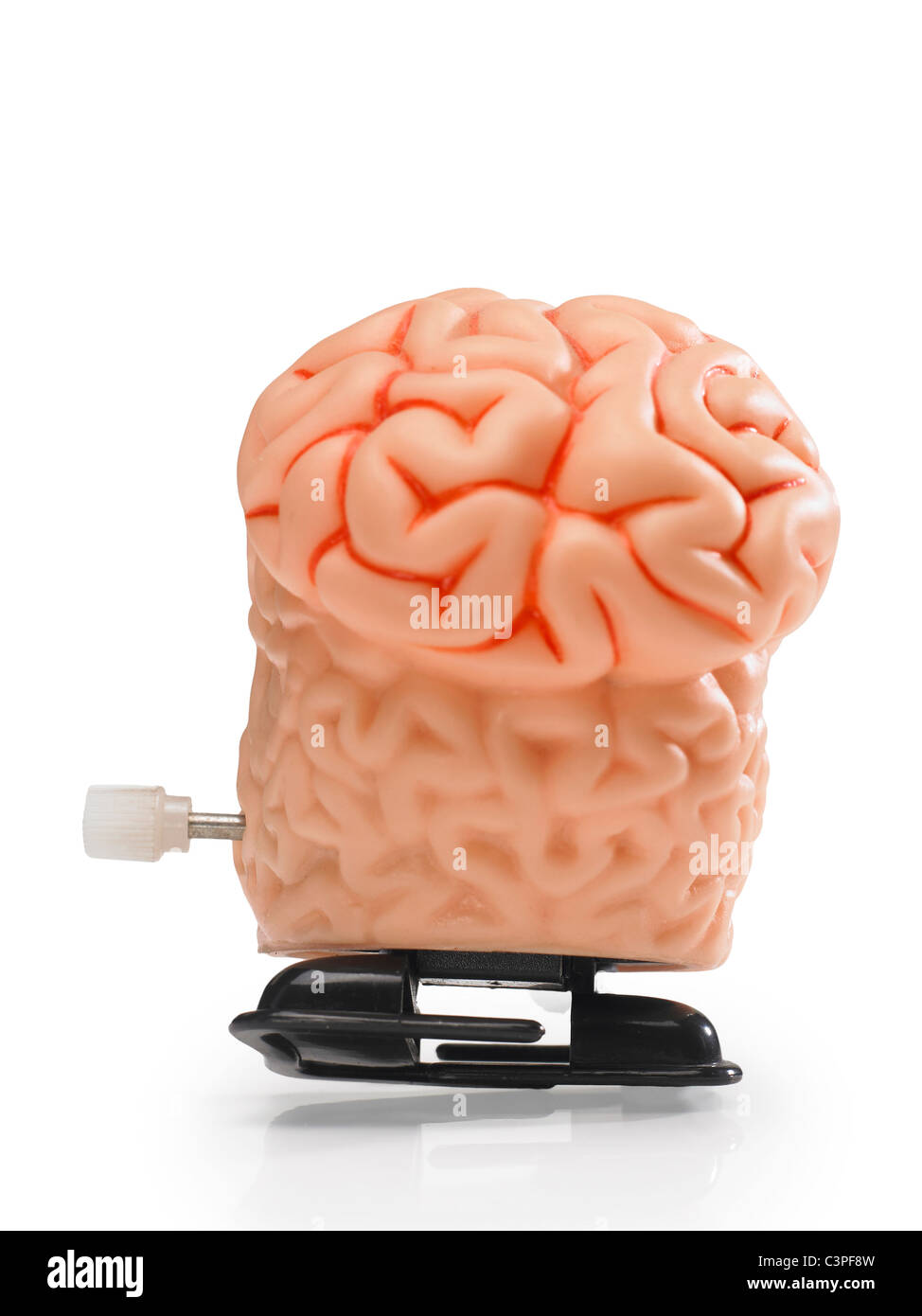 walking wind up toy human brain cut out on white Stock Photo Alamy