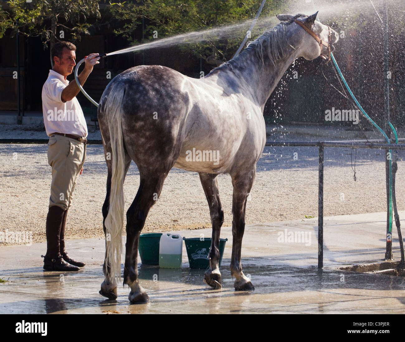 Horse being hosed down after exercise at Hipodromo Stables, MijasCosta