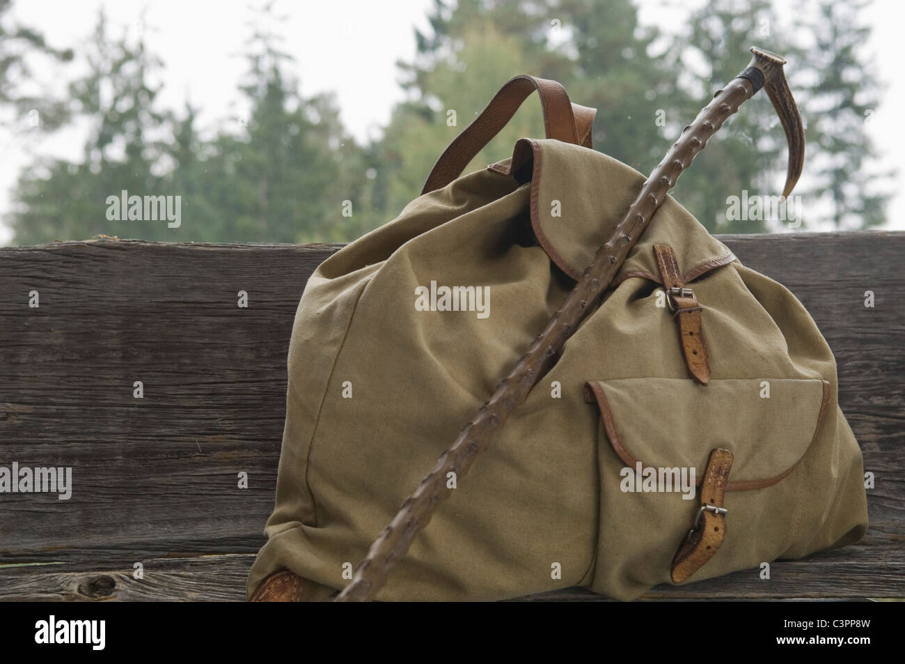 Walking stick with backpack Stock Photo Alamy
