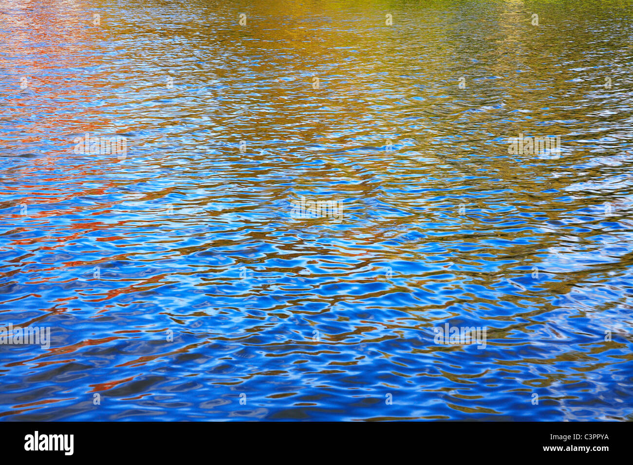 The Surface Of A Small Lake Reflecting The Vibrant Colors Of The ...