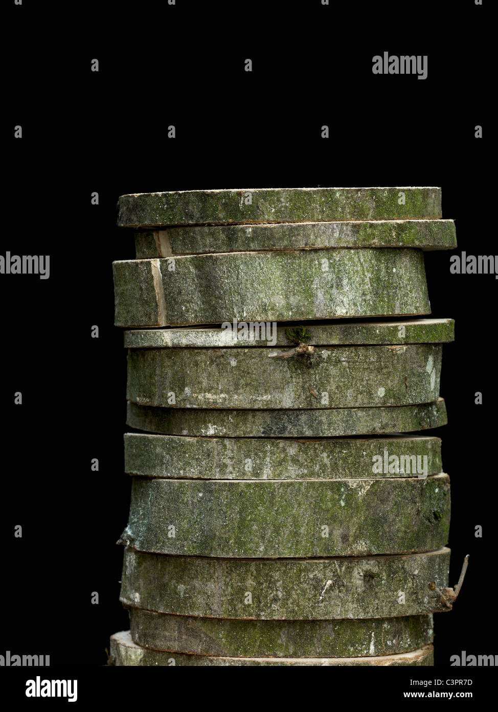 Stack of cut beech tree trunk Stock Photo