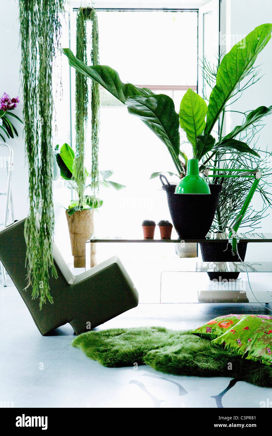 Modern living room with plants Stock Photo - Alamy