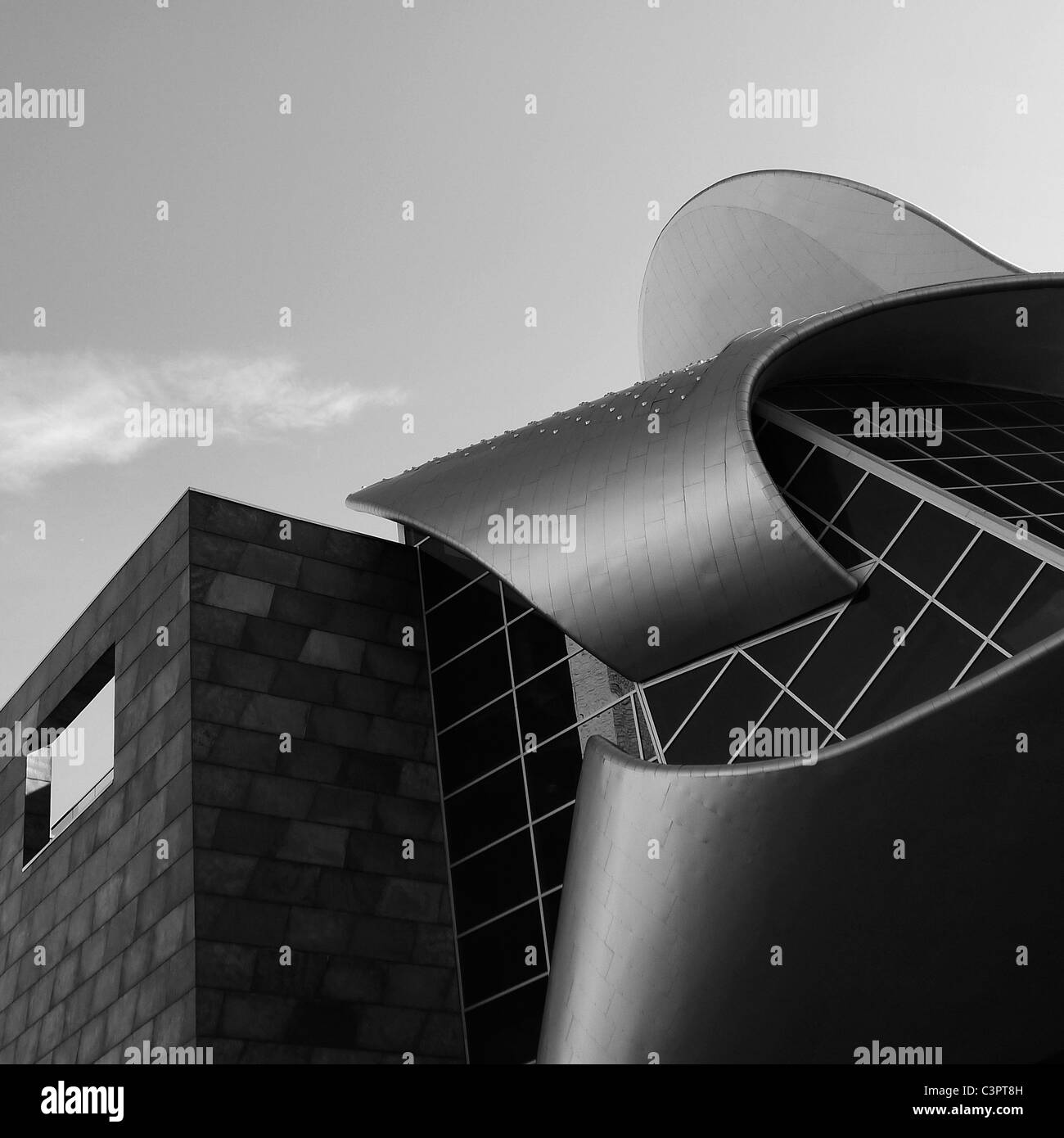 Canadian Cities, Architectural Details, The Art Gallery of Alberta