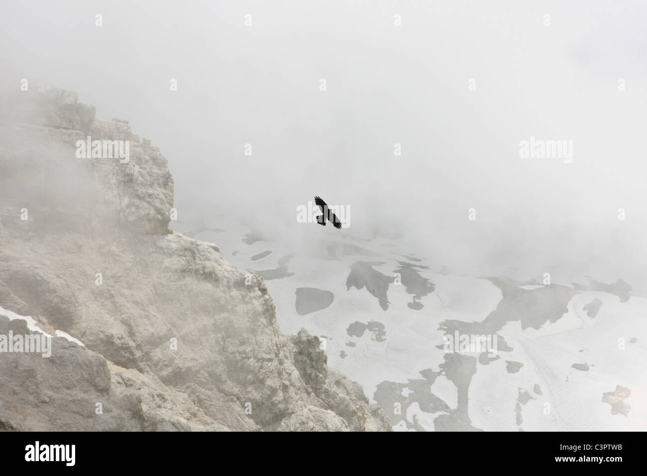 Germany, Zugspitze, View of crow flying over mountain ranges Stock Photo