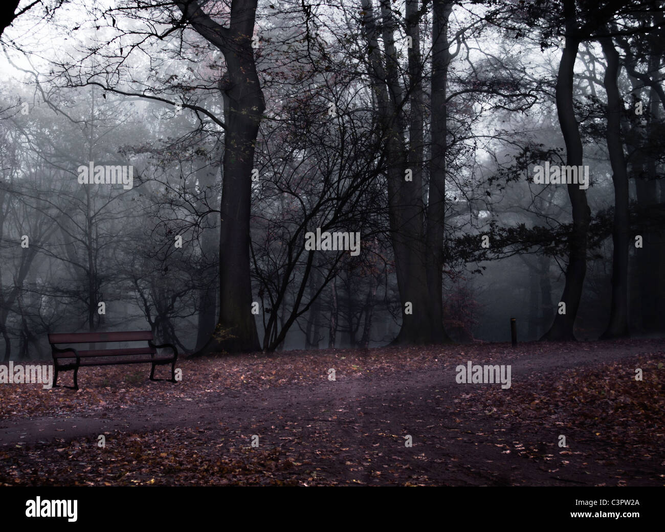 Highgate woods in Highgate , North London with the mist just lifting on an early autumn morning. Stock Photo