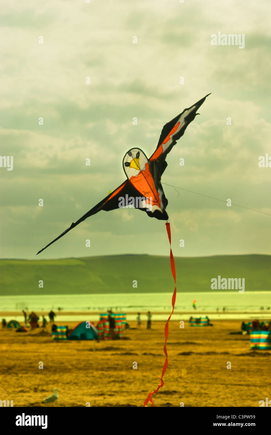 Kite in the personification of a bird?  Flying kite seen at Woolacombe bay, North Devon, England UK. Stock Photo