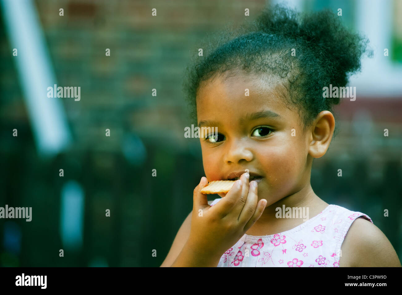 4 yr old girl, happily eating a biscuit. Stock Photo