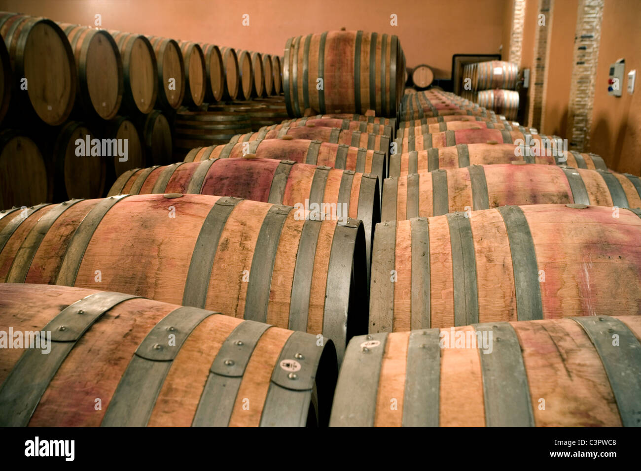 Wine maturing in wooden barrels at Emilio Moro Winery in Ribera del Duero (Spain). Stock Photo