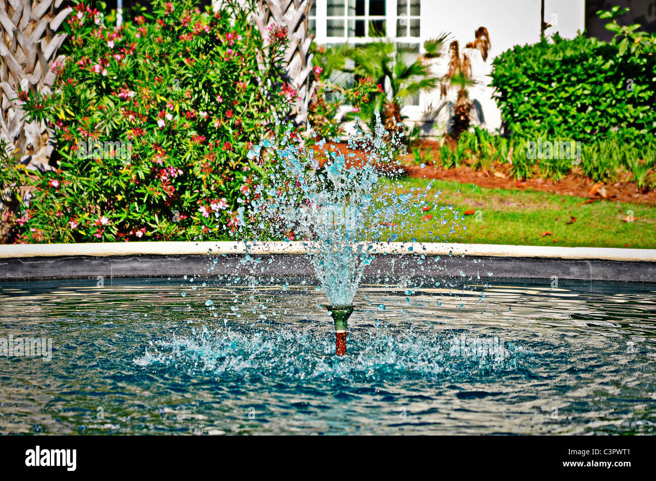 Water fountain in the park Stock Photo - Alamy