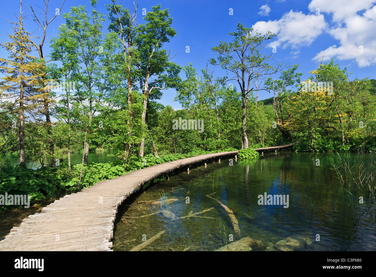 Europe, Croatia, Jezera, View of broadwalk at Plitvice Lakes National Park Stock Photo