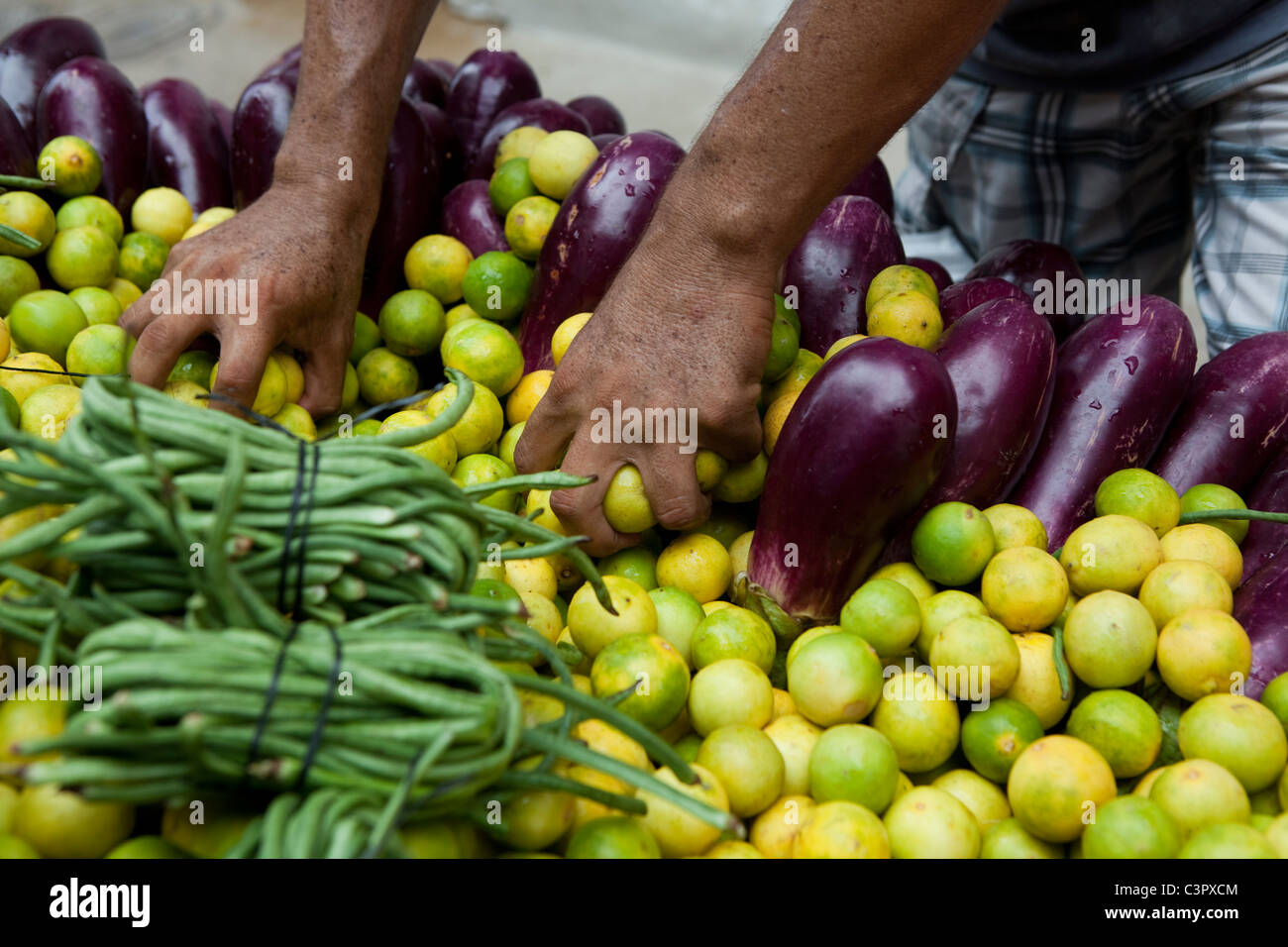 Fruit and vegetable market in Ladakh, Himalaya, India. Stock Photo