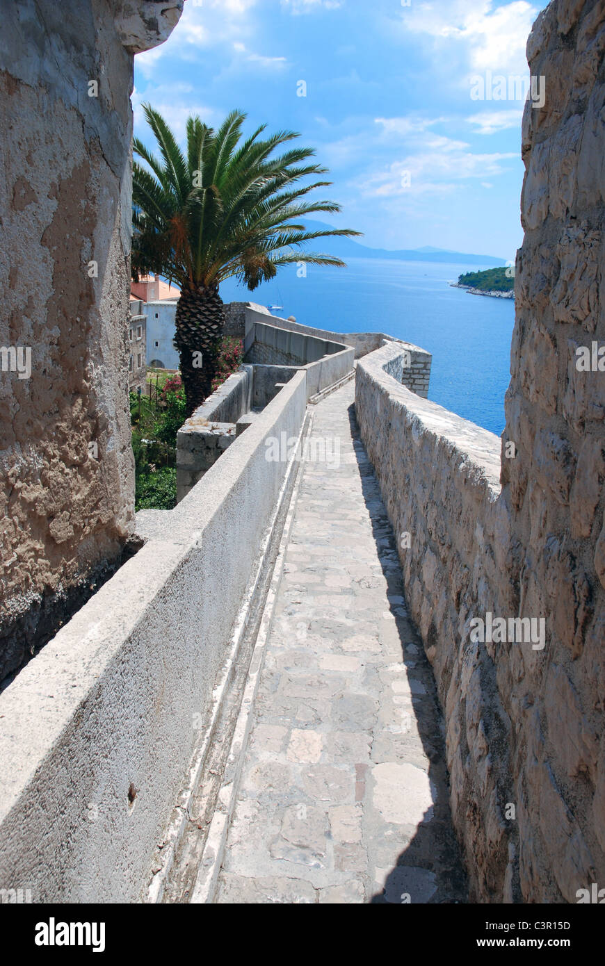 Castle, sea, palm tree, Dubrovnik. Stock Photo