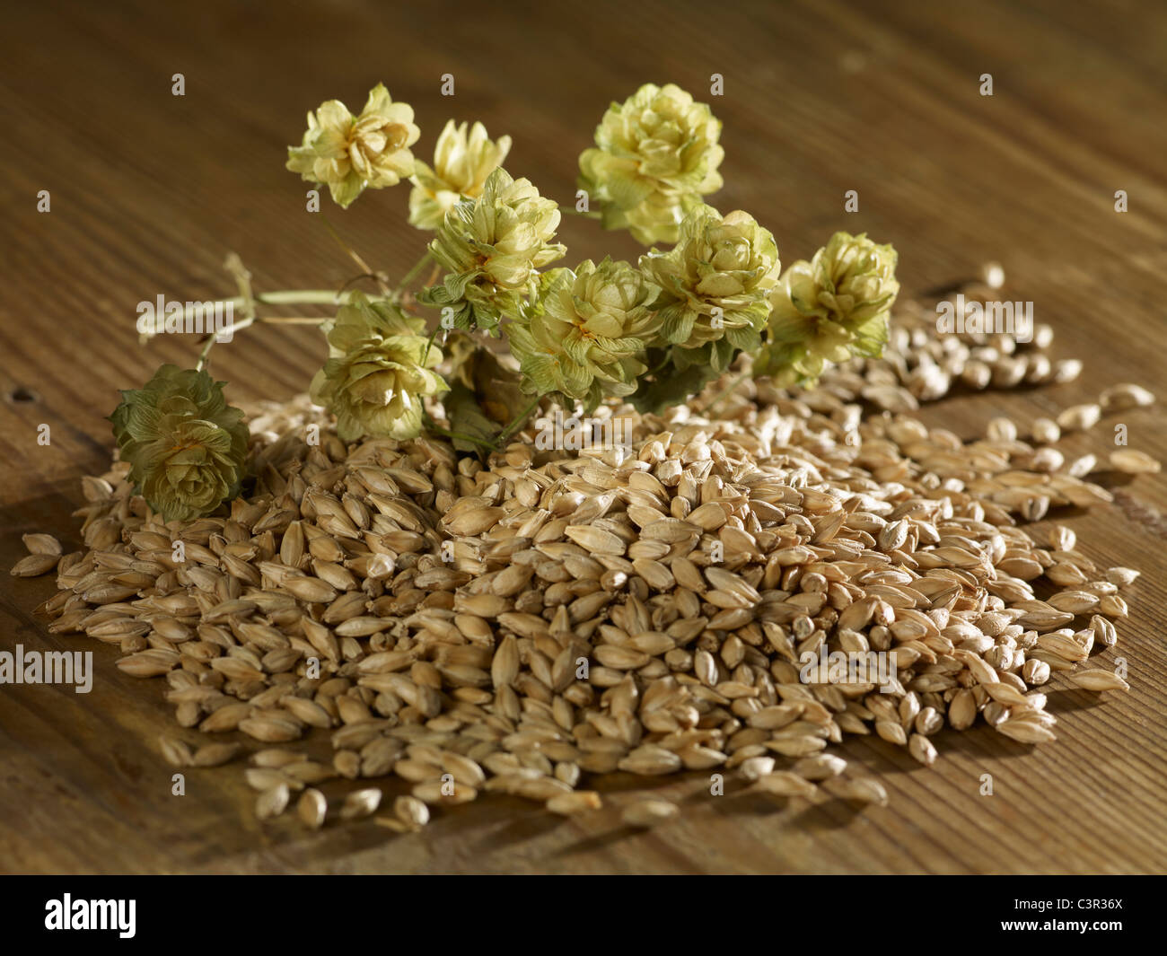 Malting barley and hops on wooden surface Stock Photo