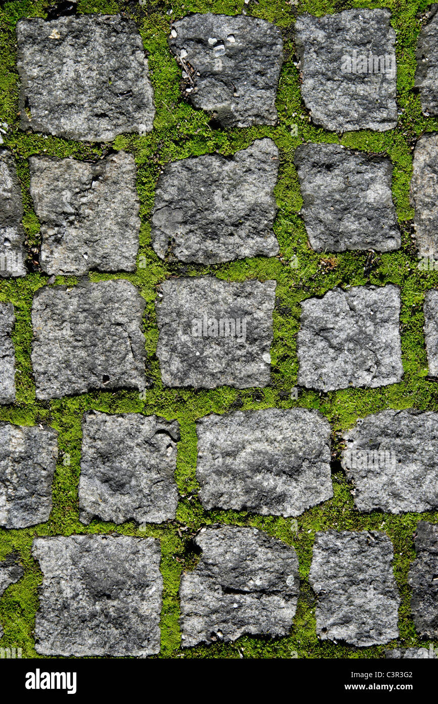 Germany, Munich, Close up of Cobble stone street Stock Photo
