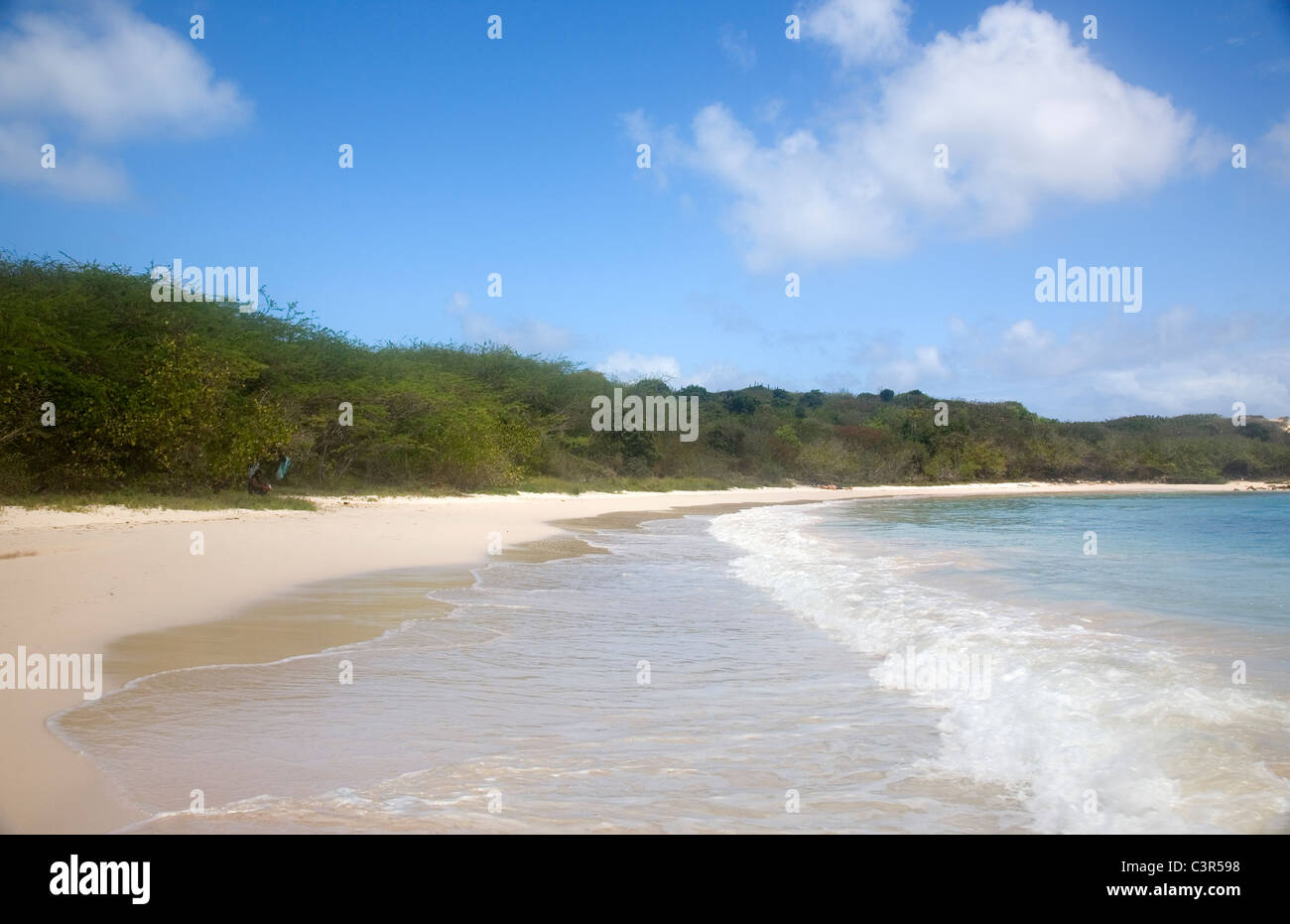 Antigua's Half Moon Bay Beach Stock Photo