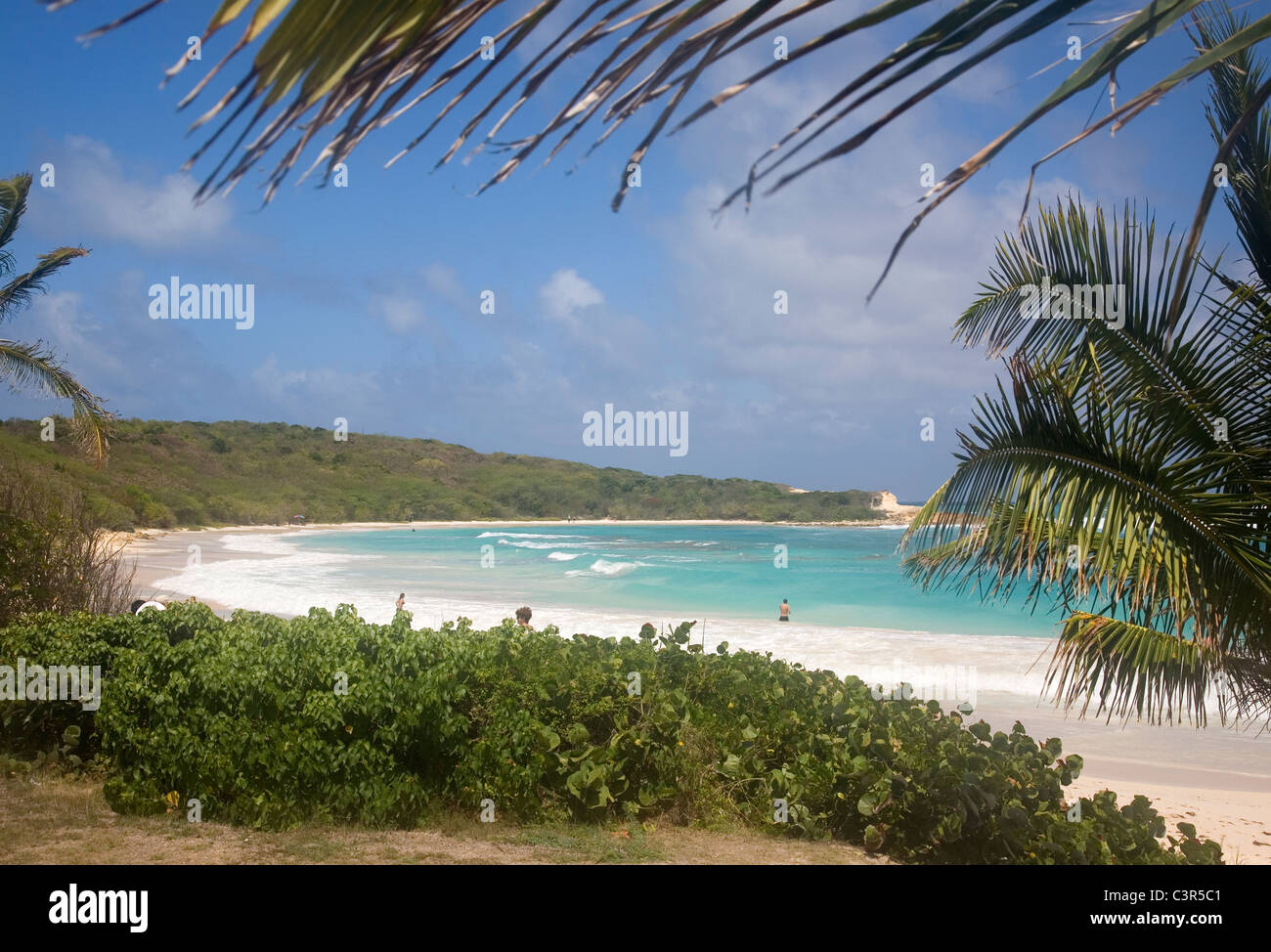 Antigua's Half Moon Bay Beach Stock Photo