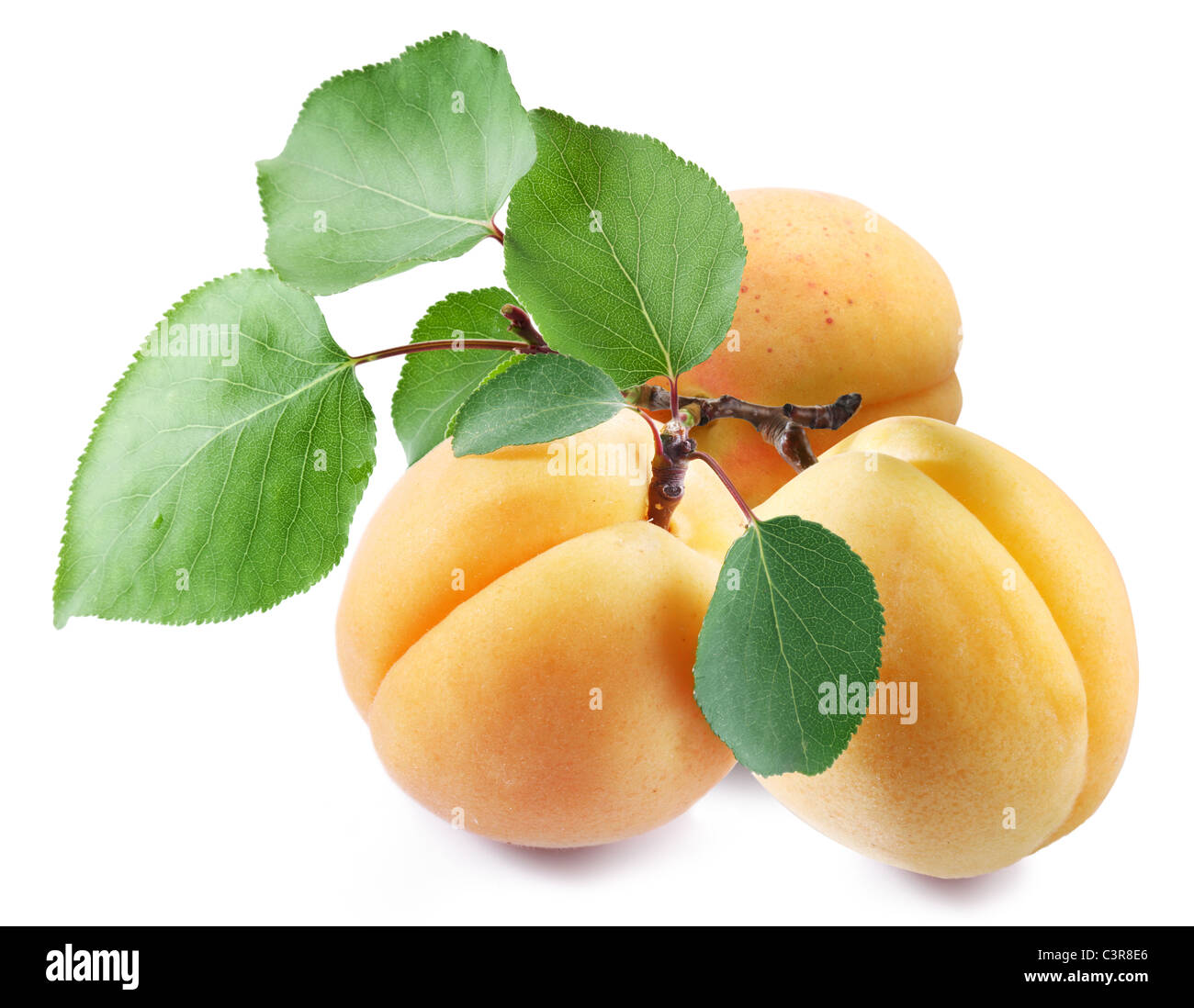 Ripe apricots with leaves on white background Stock Photo