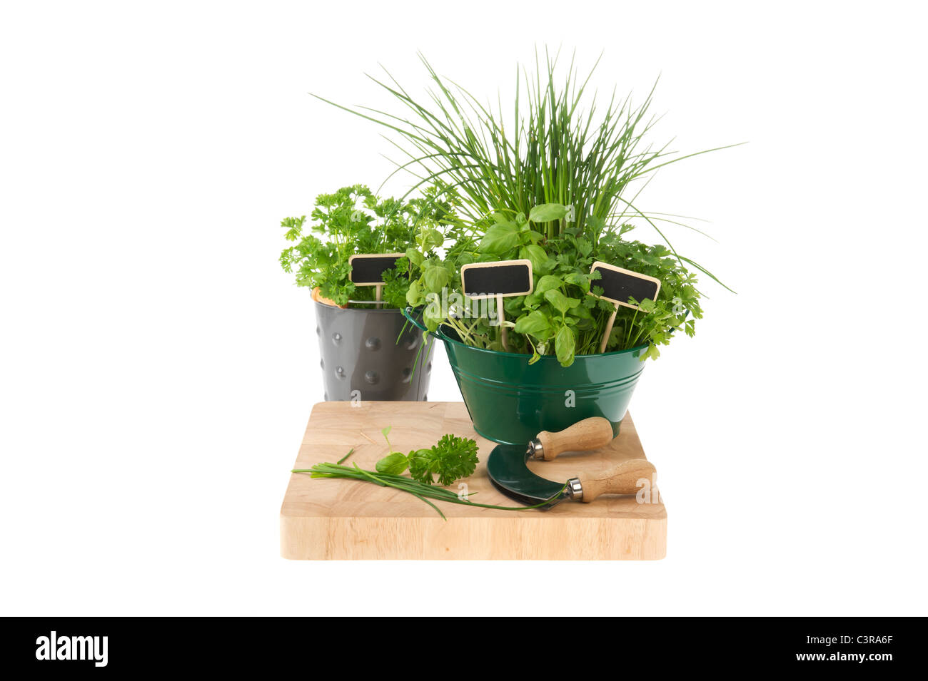 Kitchen herbs in pots isolated over white Stock Photo Alamy
