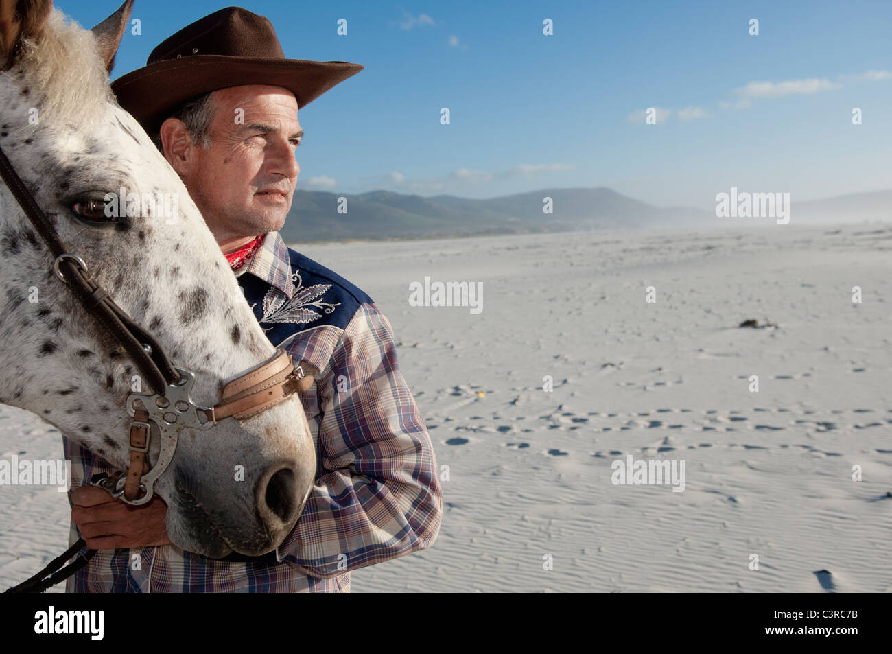 Horse getting up hires stock photography and images Alamy