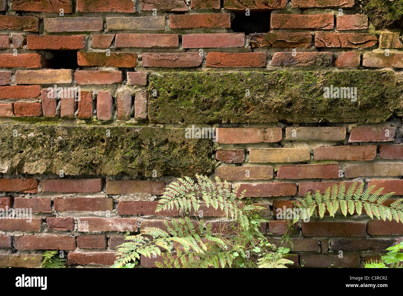 Old stone wall with brown bricks. The wall is covered with moss and some fern are in front of it. Stock Photo