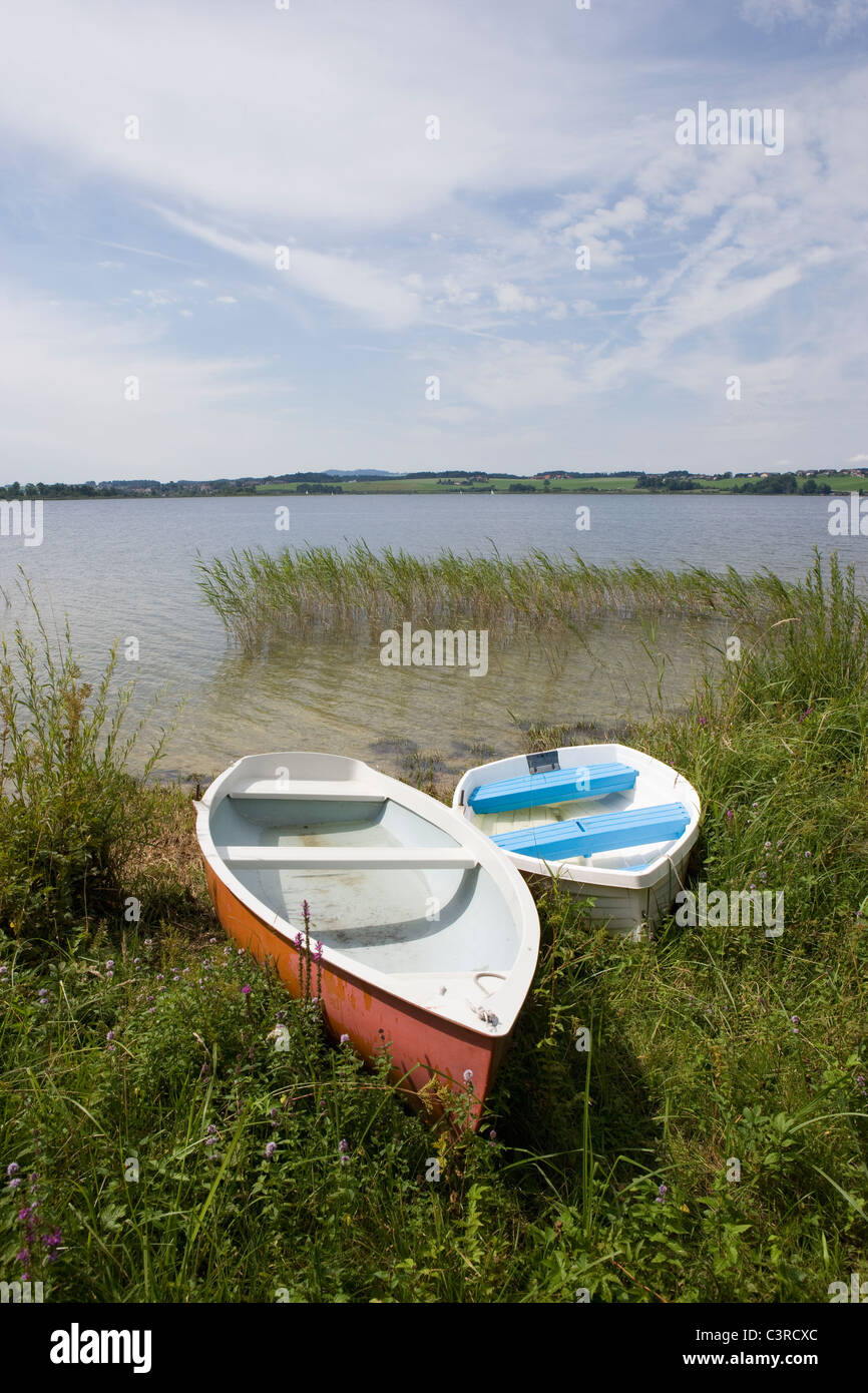 Austria, Land Salzburg, View of boats in reed near wallersee lake Stock Photo