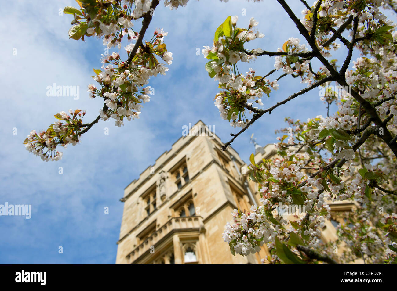Oxford bathed in sunshine in the spring,a colourful place to visit or study, New College with the blossom. Stock Photo