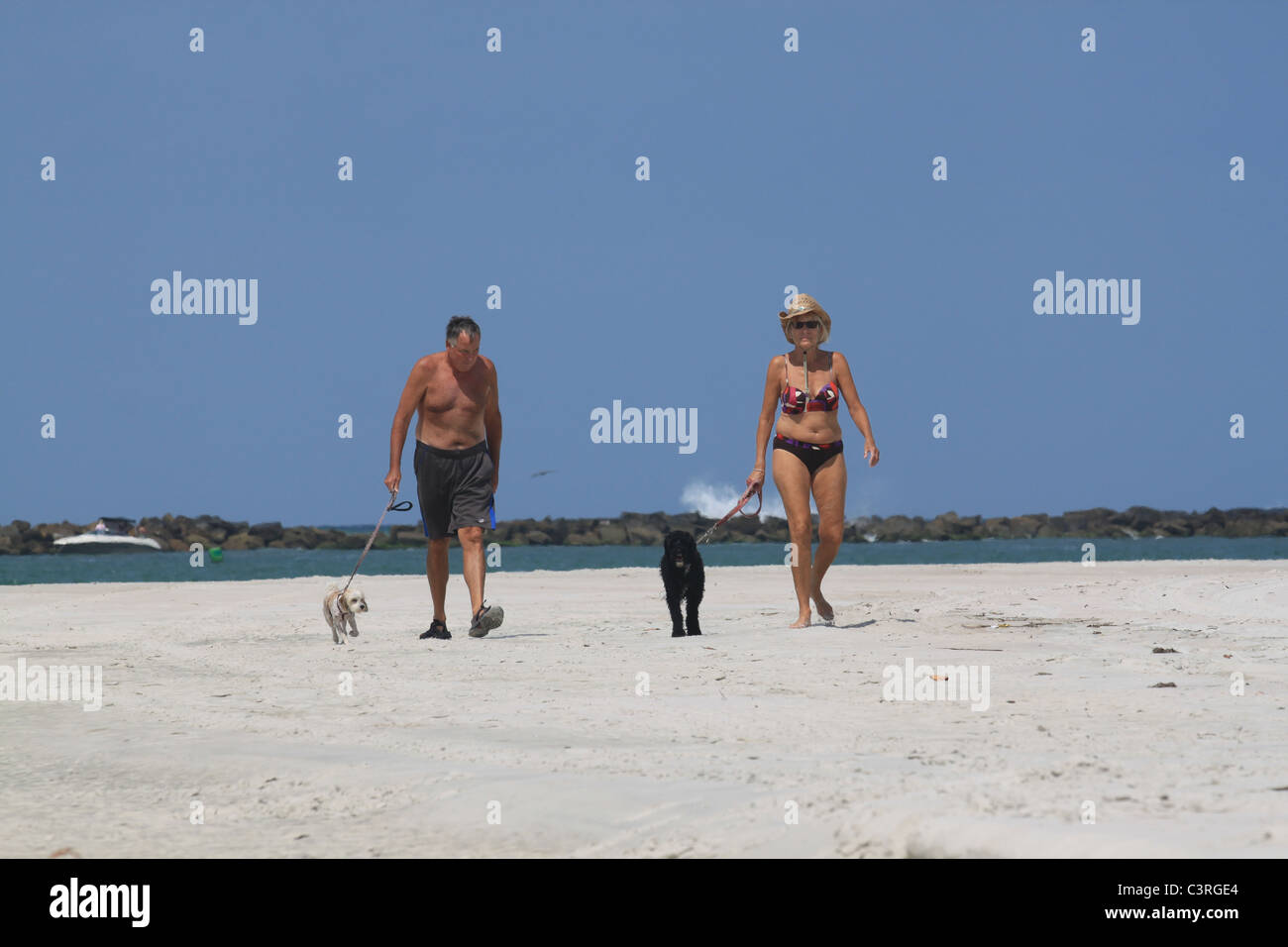 Man and woman walking dogs on the beach Stock Photo