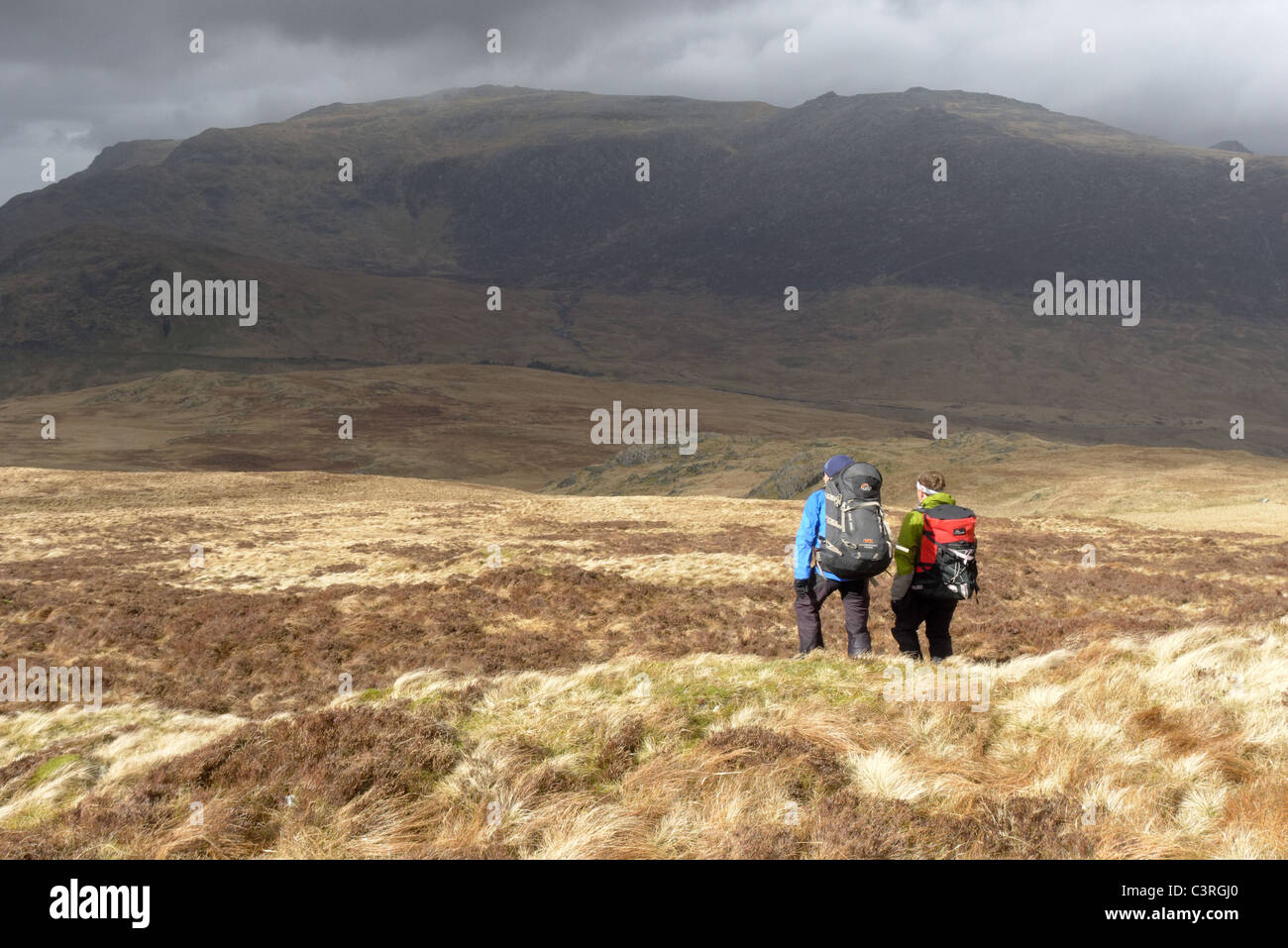 A group of hillwalkers in the Moelwyn hills, Snowdonia Stock Photo