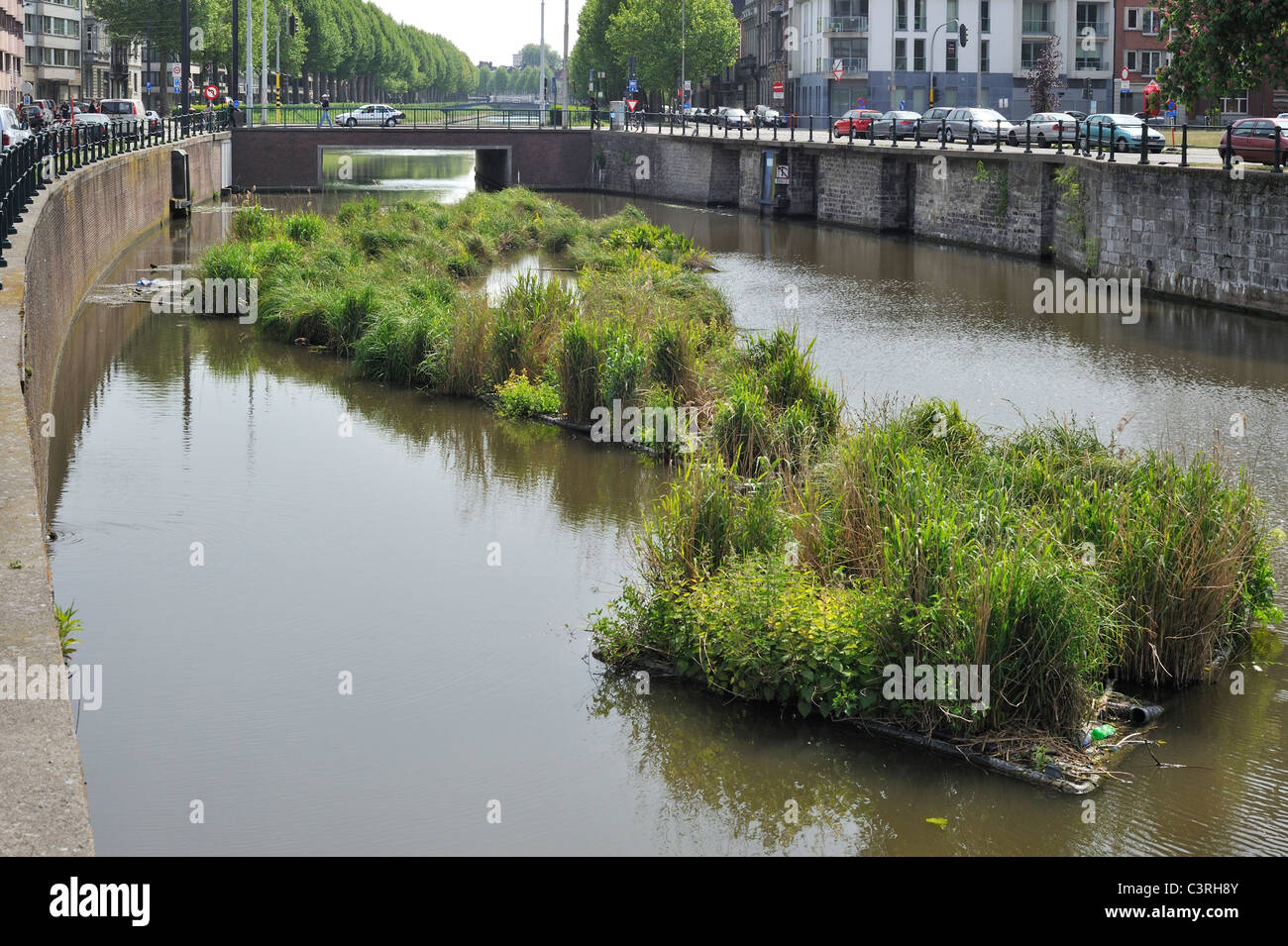 Artificial island in canal for fish to spawn and breeding place for waterfowl, Coupure, Ghent, Belgium Stock Photo
