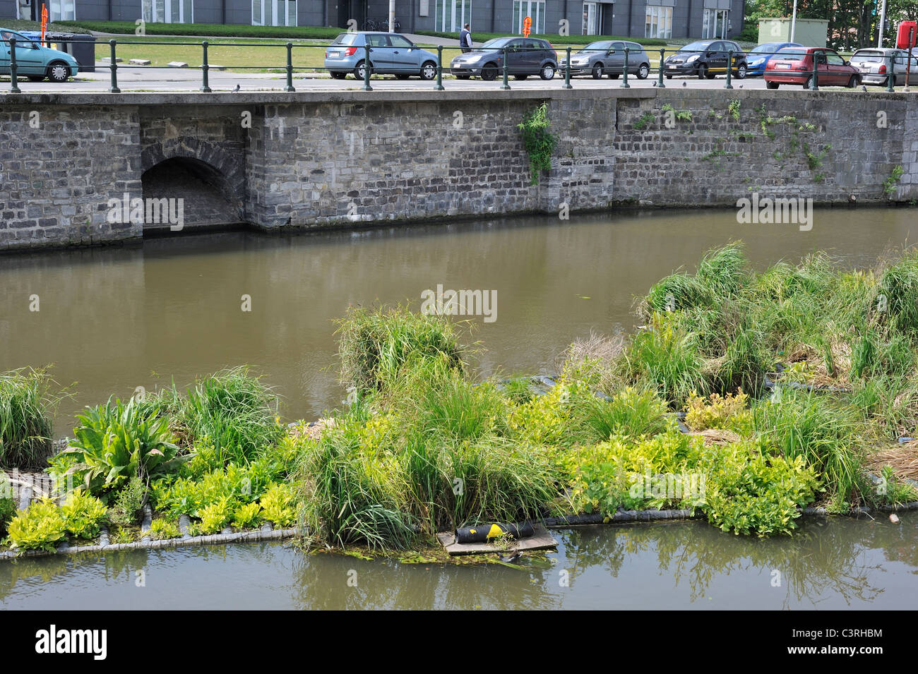 Rattrap along artificial island in canal for fish to spawn and breeding place for waterfowl, Coupure, Ghent, Belgium Stock Photo