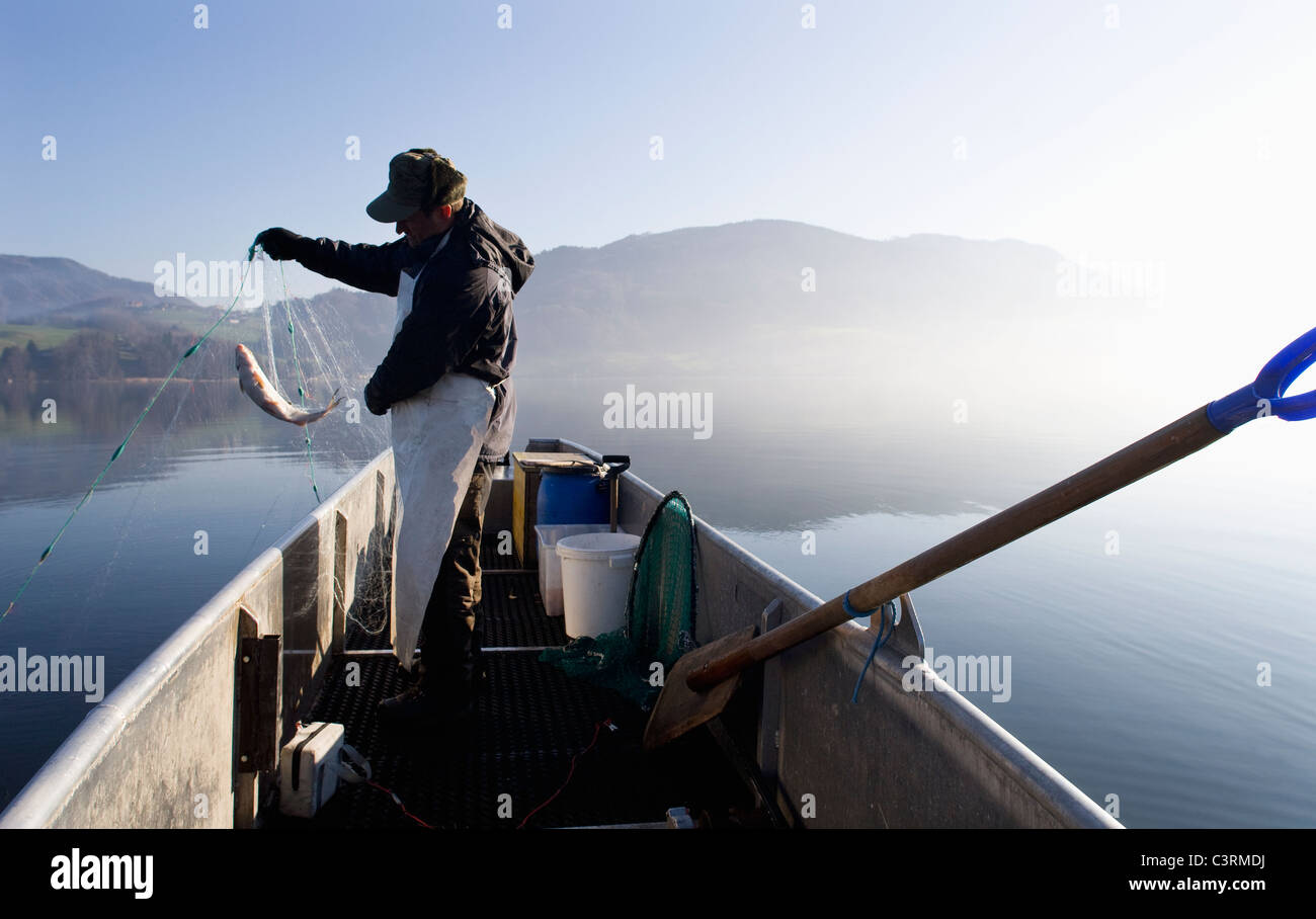 Austria, Mondsee, Fisherman caught a fish in fishing net Stock Photo