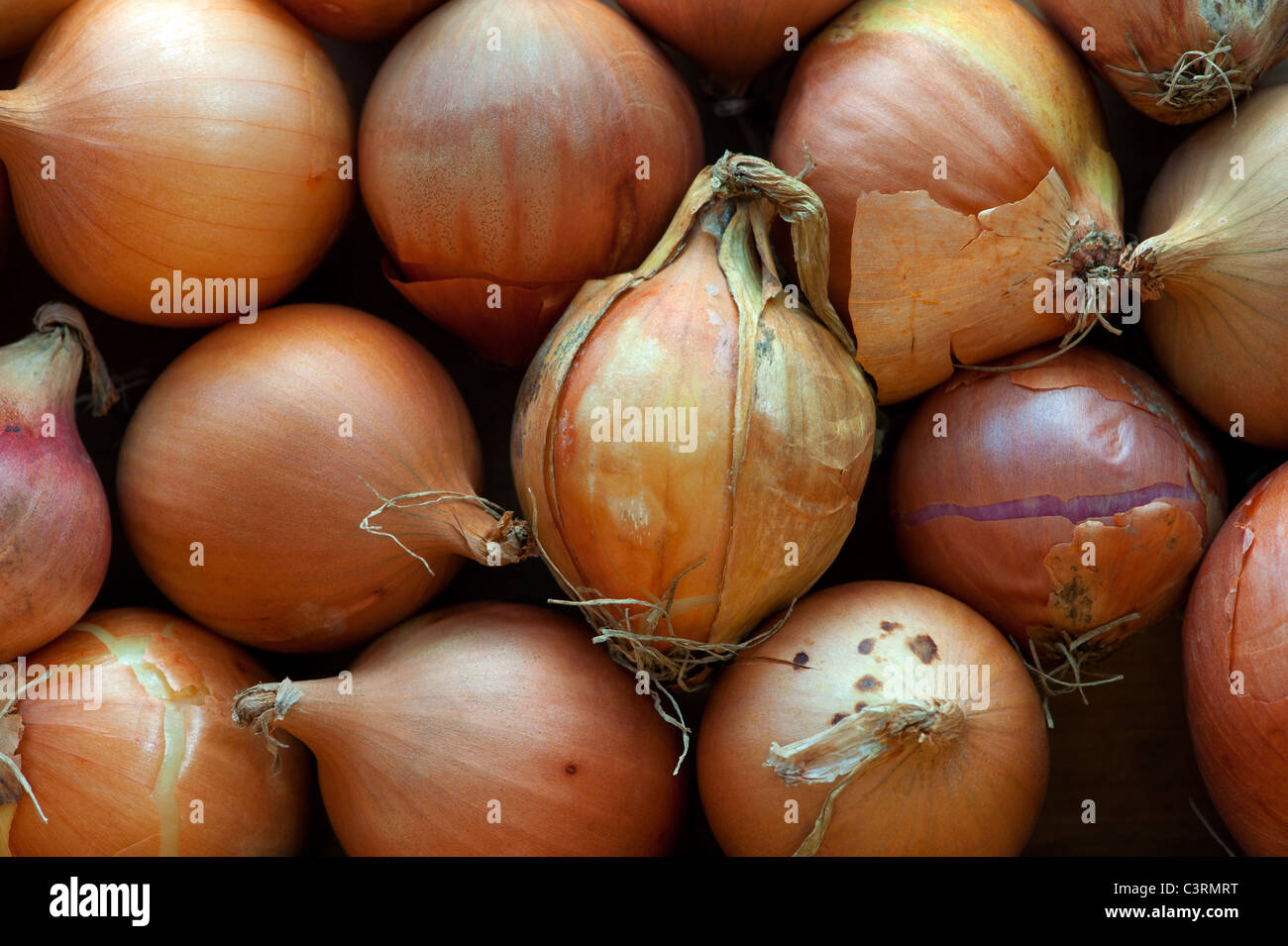 Display of raw onions Stock Photo