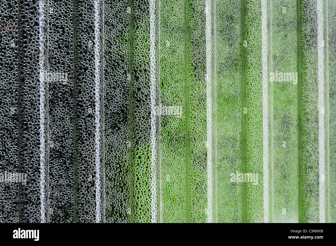 Plastic sheet garden hires stock photography and images Alamy